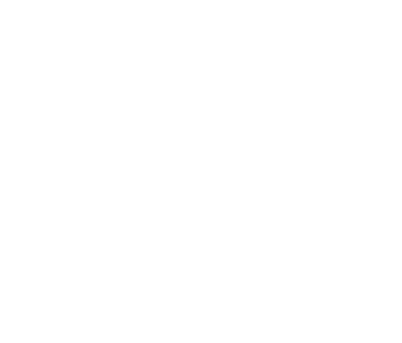 pandora logo